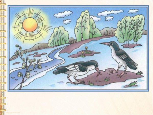 Сюжетные картинки по окружающему миру