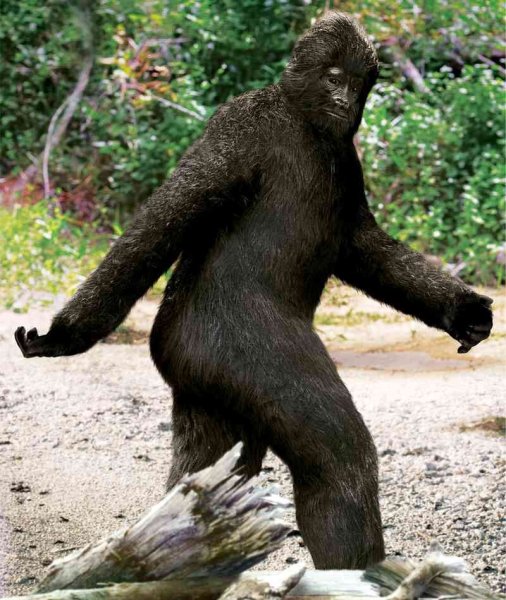 Снежный человек Йети бигфут сочвоч