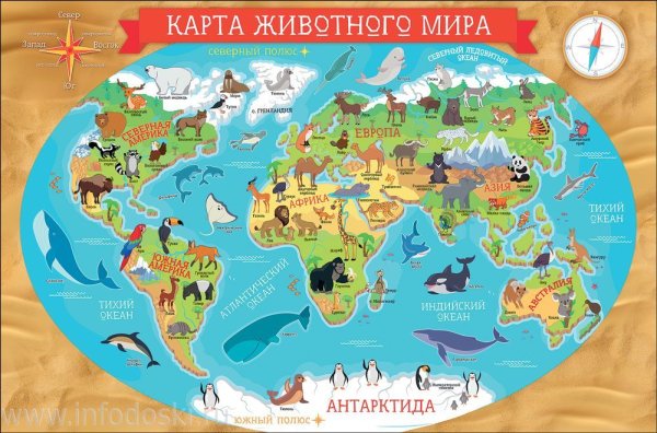 Животные на материках