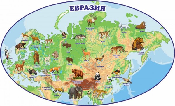Материк Евразия животные Евразии