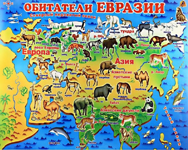 Животный и растительный мир Евразии на карте