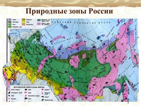 Географическая карта России с природными зонами