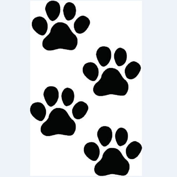 Отпечатки лап животных