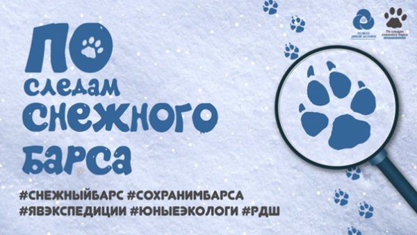 Отпечаток снежного Барса
