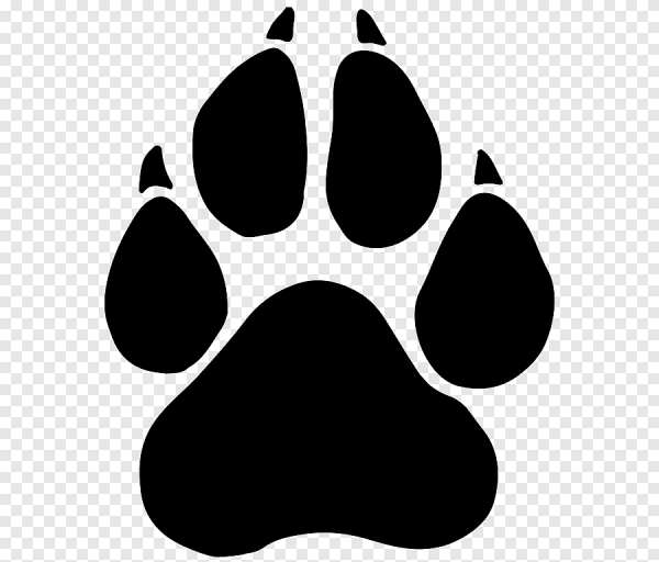 Лапка собаки