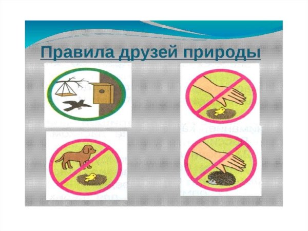 Знаки охраны животных