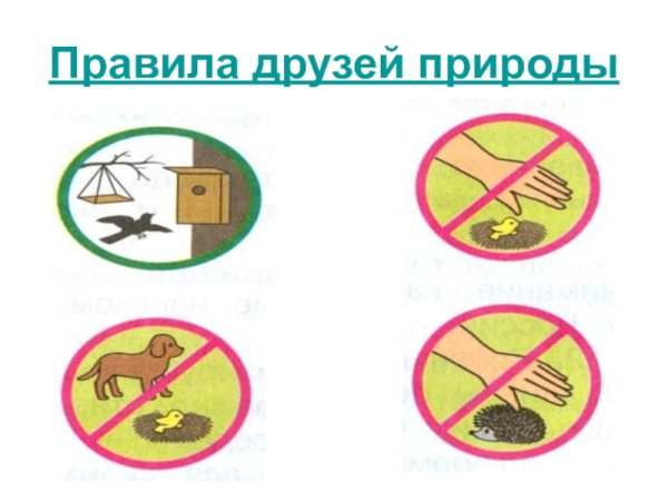 Знаки друзей природы