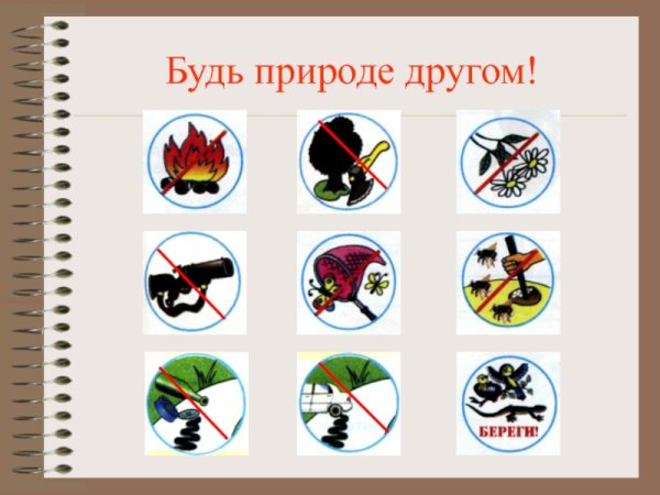Окружающий мир будь природе другом