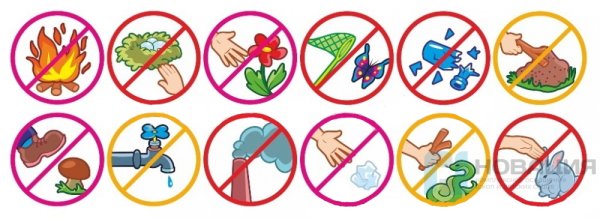 Знаки природы