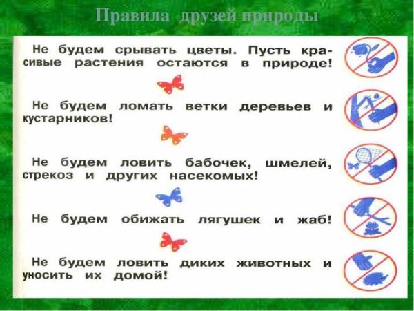 Правил друзья природы