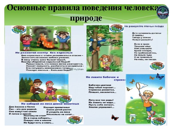 Правило поведения на природе для детей
