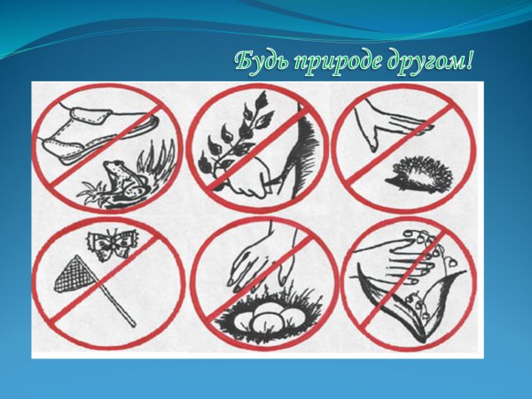 Берегите природу