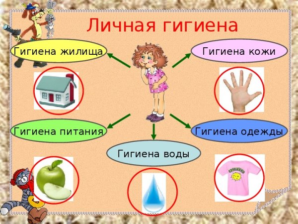 Памятка гигиена тела