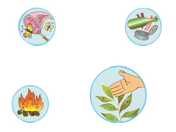 Знаки защиты природы для детей