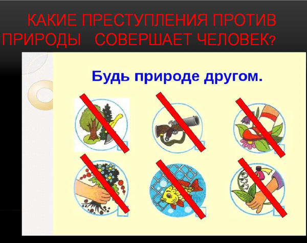Знаки о правилах поведения в природе