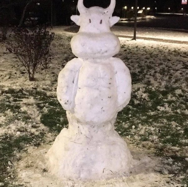 Снежный бык Бунин