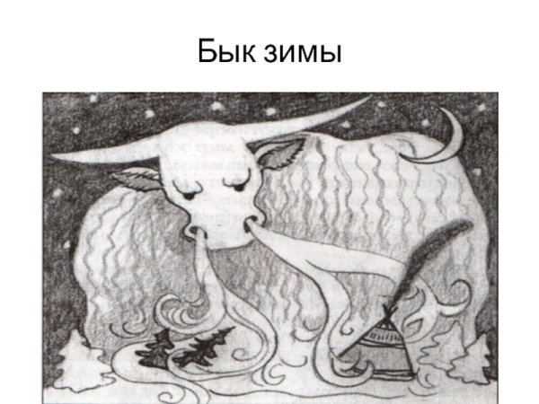 Бык зима