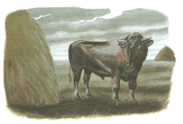 Василий Шукшин бык