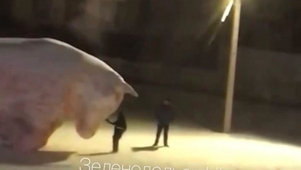 Снежный бык Бунин