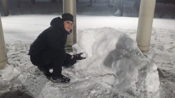 План снежный бык