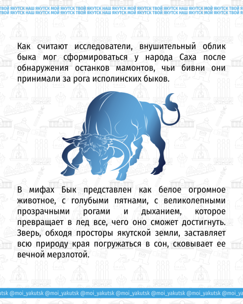 Бык холода в Якутии