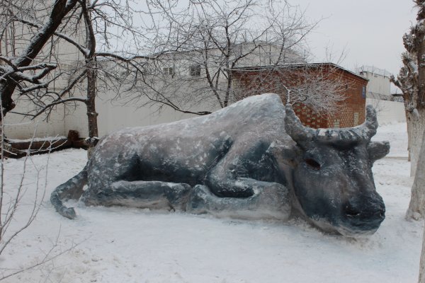 Снежный бык в Гатчине