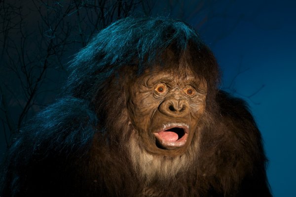 Снежный человек Йети бигфут сочвоч