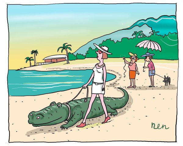 Карикатуры на пляже