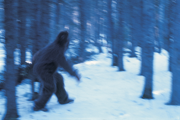 Етти снежный человек настоящий