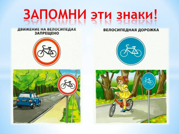 Знаки велосипедиста на дороге