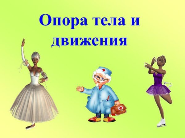 Опора и движение организмов