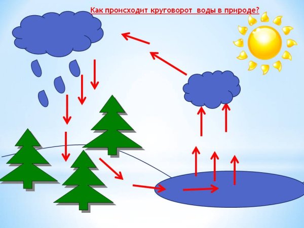 Круговорот воды в природе схема