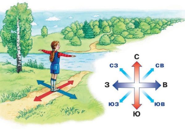 Юг Север Восток Запад окружающий мир