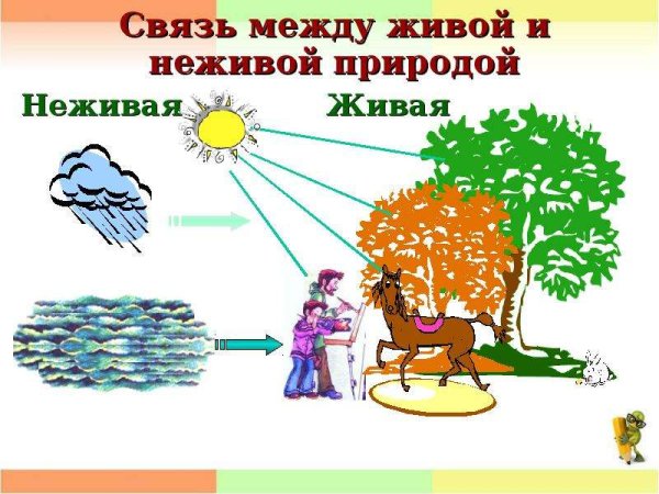 Схема связи живой и неживой природы