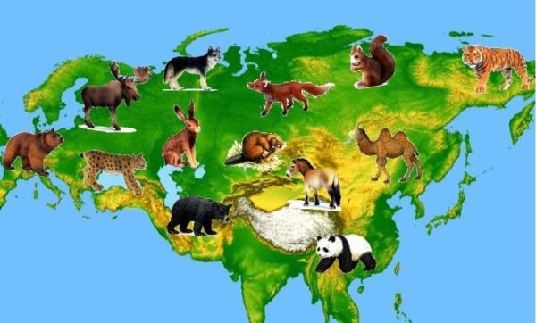 Материк Евразия животные Евразии