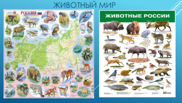 Карта животных России