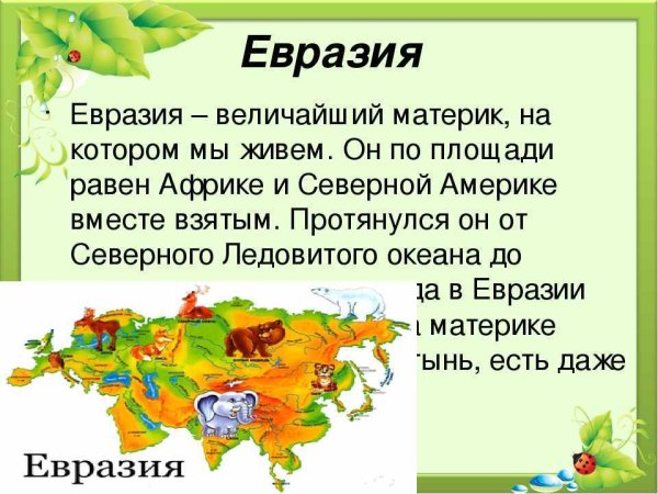 Информация о материке Евразия
