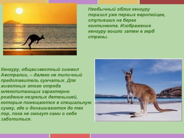 Сообщение о Австралии