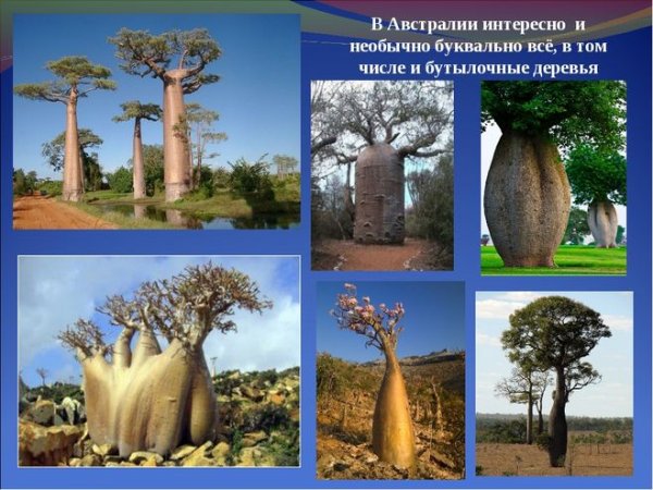 Австралия проект