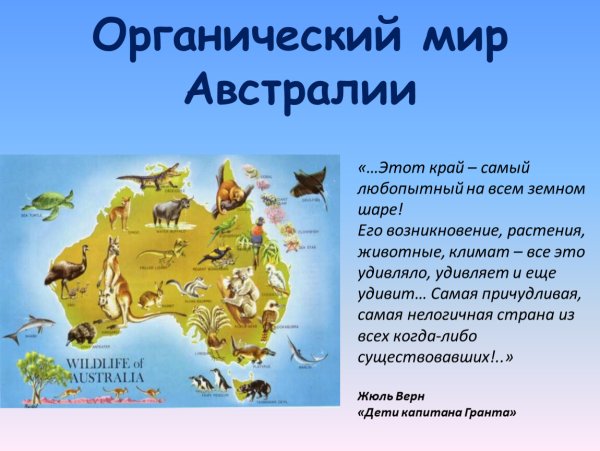 Органический мир Австралии 7 класс