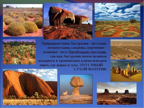 Пустыни и полупустыни Австралии растительный мир