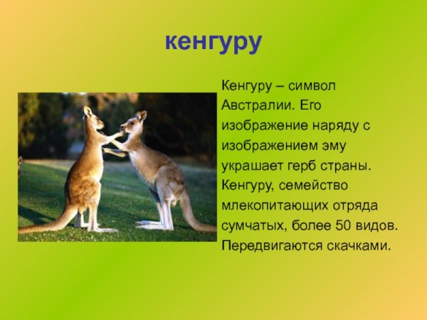 Проект животные