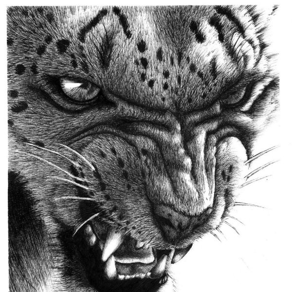 Аланский Барс тату