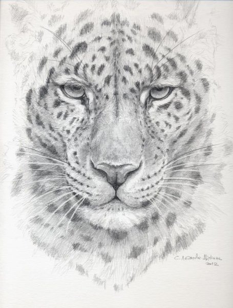 Тату снежный Барс эскизы