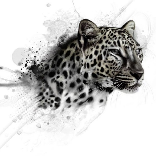 Тату морда леопарда