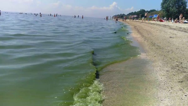 Бессергеновка Таганрог море