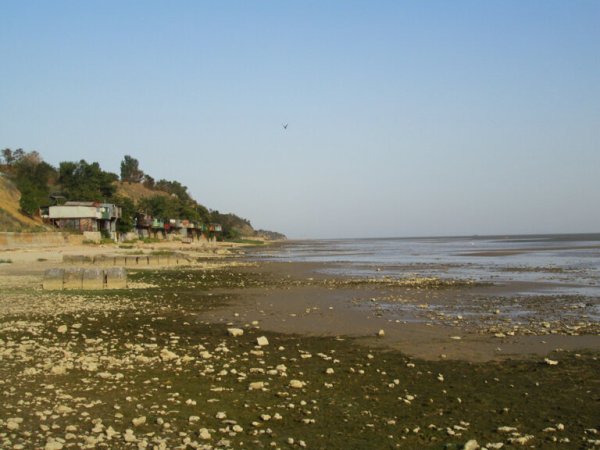 Таганрог пляж