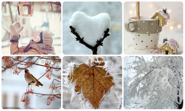 Коллаж зима
