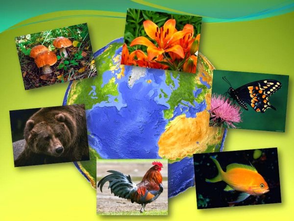 Коллаж по экологии