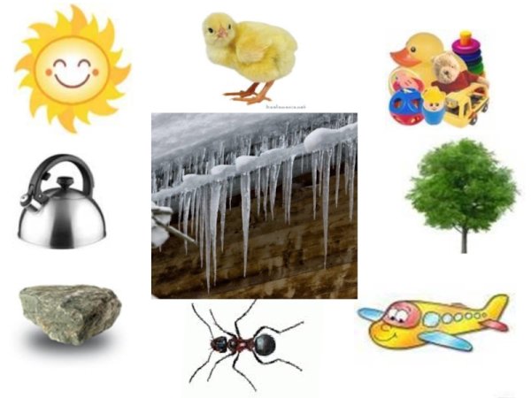 Живая неживая природа и рукотворный мир